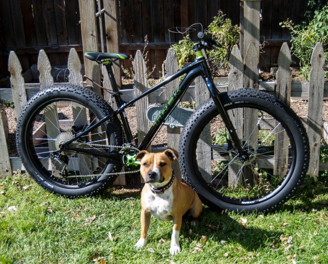 2014 Trek Farley (and a cool dog named Henry)