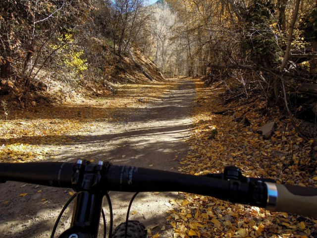 Yellow was the color of the day.