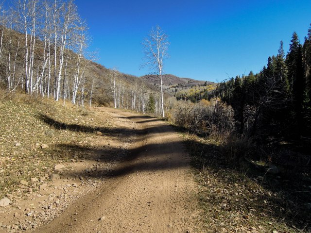 One of the smoother sections of the road, about 6 miles up.