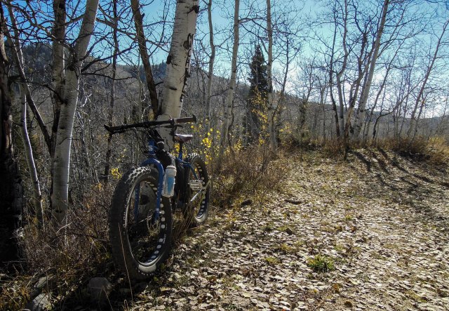About 7 miles up the canyon.