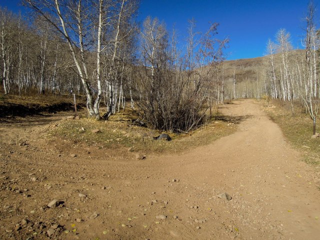 The junction, 8 miles up the road.