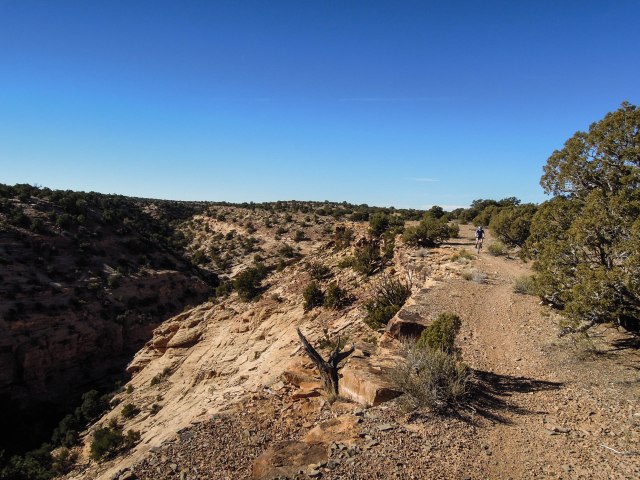 A nice, well defined trail.