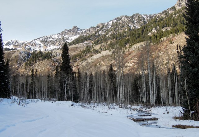 My high point in beautiful Mineral Basin