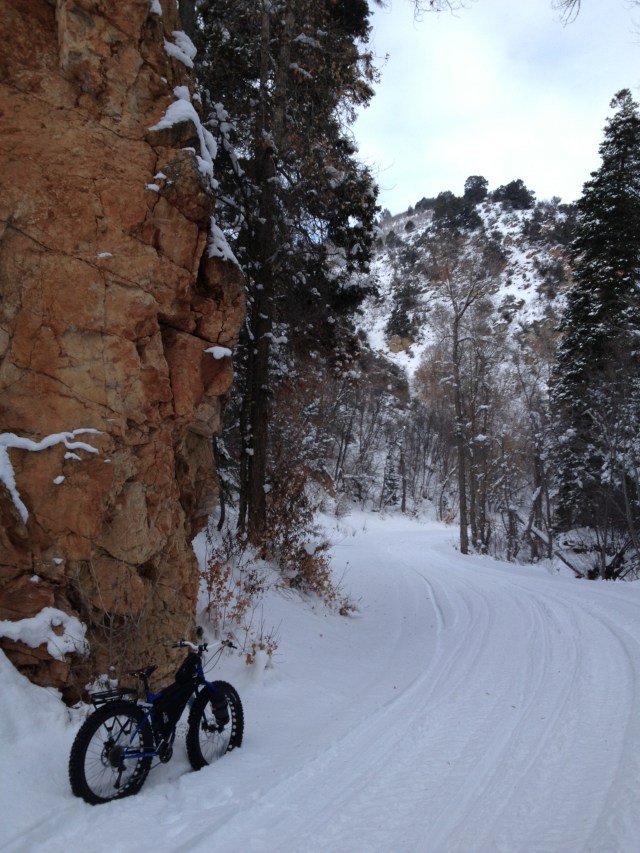 Roadside cliffs in the upper part of the canyon