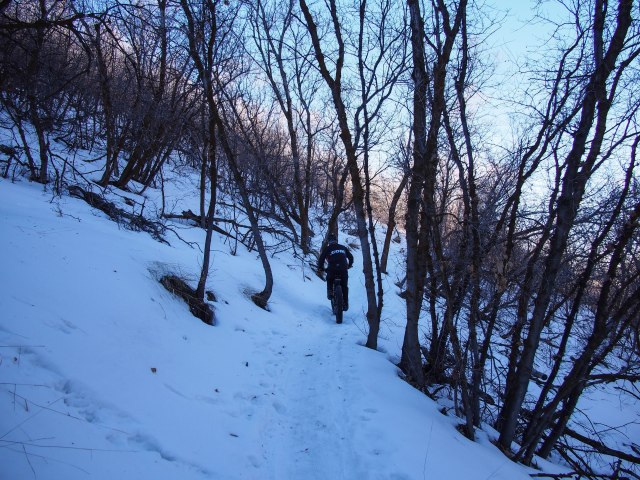 Corner Canyon singletrack