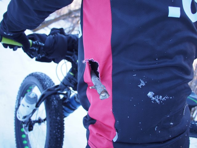 Bullet took a tumble through some deadfalls