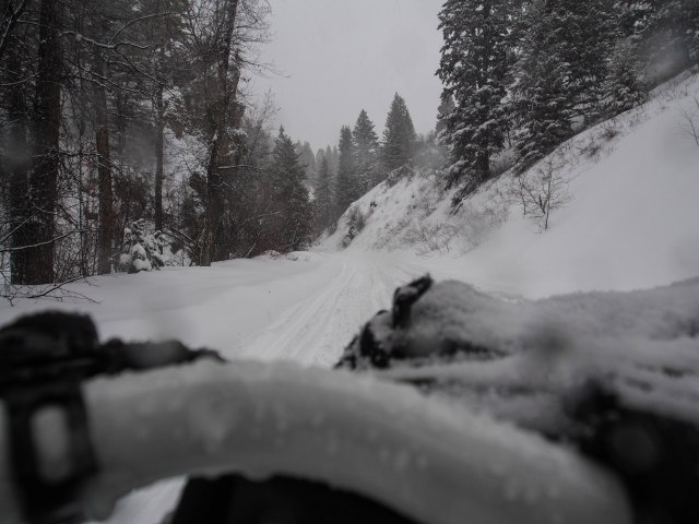 Big snow, wet and heavy.