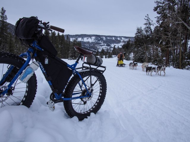 One of the three dog sled teams.