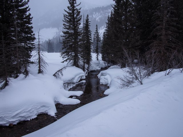 The creek coming out of Mineral Basin.