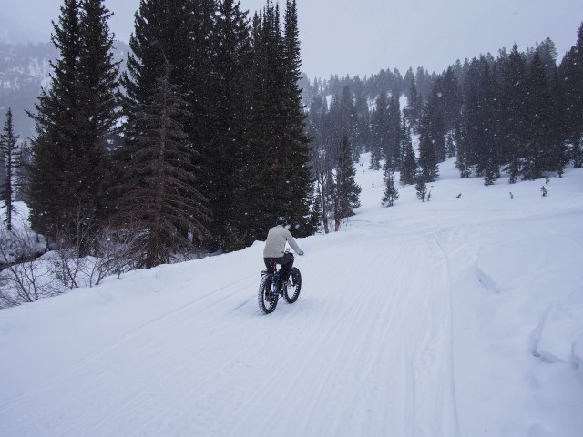 Heading up into Mineral Basin.