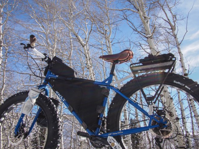 Insulated bike bottle on the left fork.