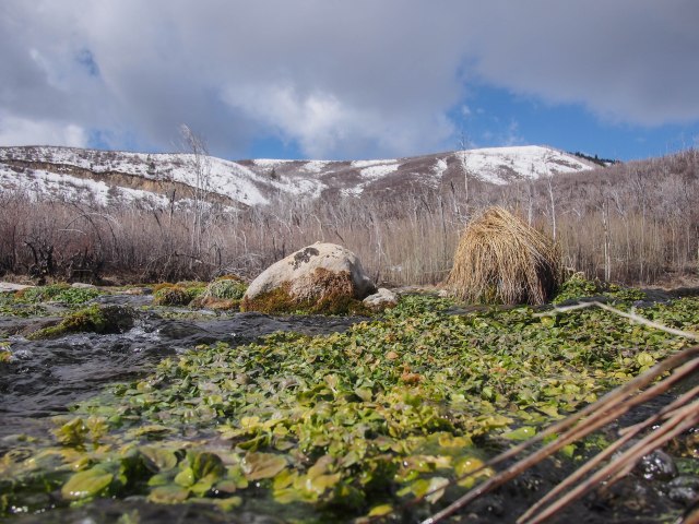 The source of the springs.