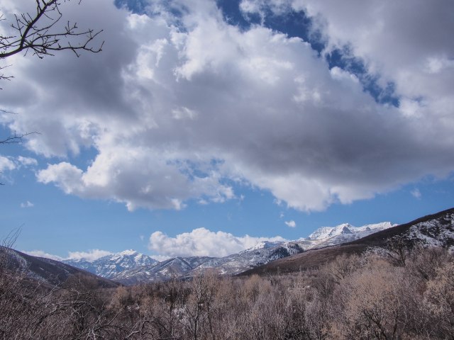 The view above the springs.
