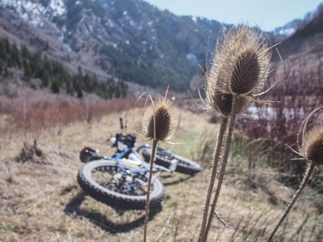 Riding along the Provo River.