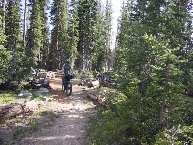 Too bad more of the trail wasn't like this.