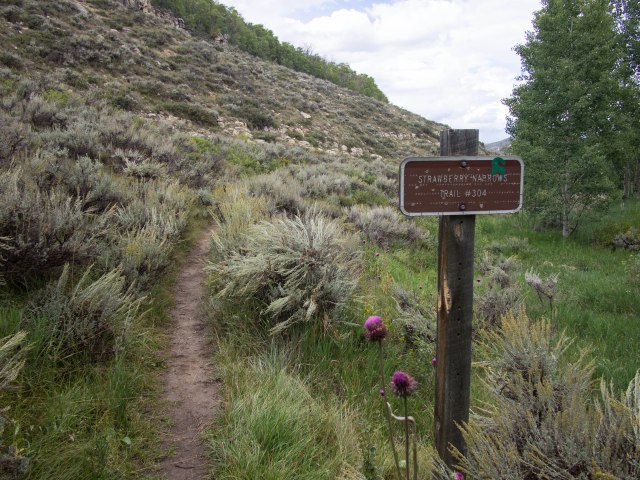 Beginning of the east end of the trail.