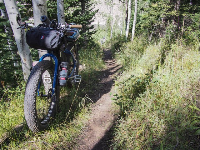 Stellar singletrack.