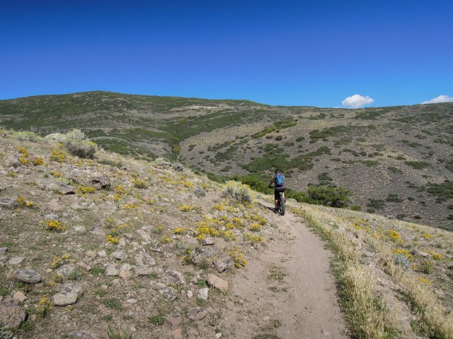 Front side, getting higher.