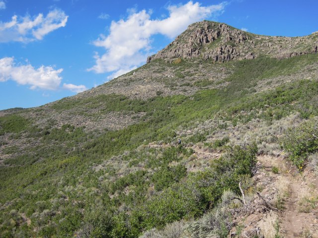 Bullet visible in the center of the photo.