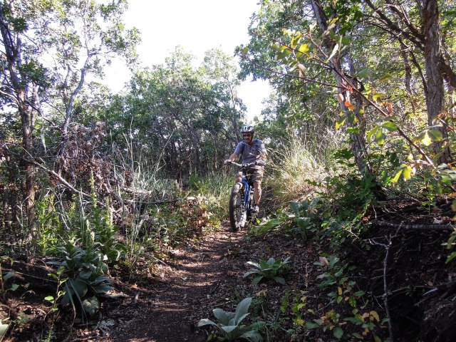 Onto the backside with lots of shady forest riding.