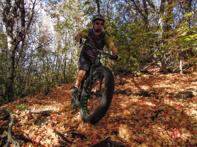 Bullet riding through the early Autumn colors.