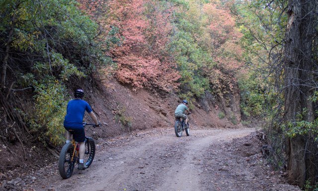 Heading up the forest service road.