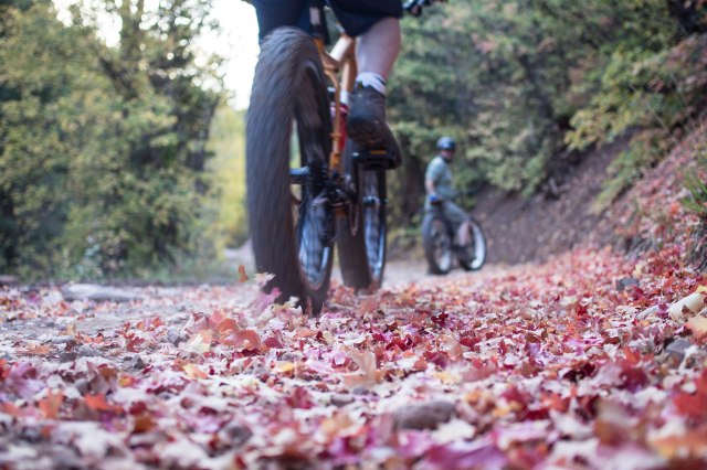 Heading down the road back to camp.