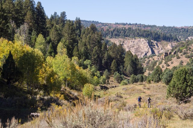 Heading up Trail #1275