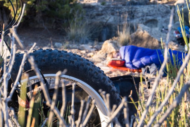 Fatbikes and the desert go well together.