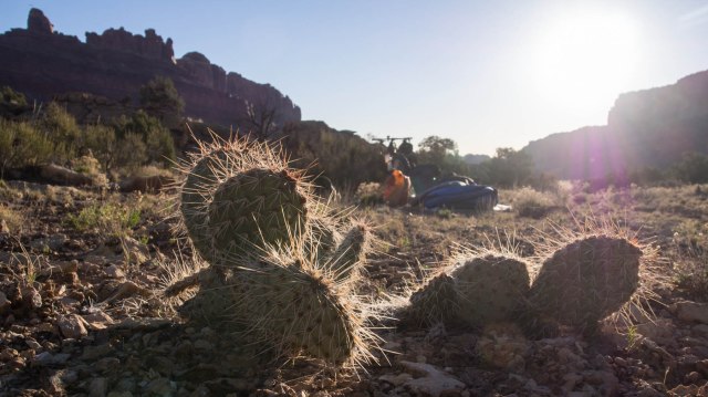 Sunrise in the desert.