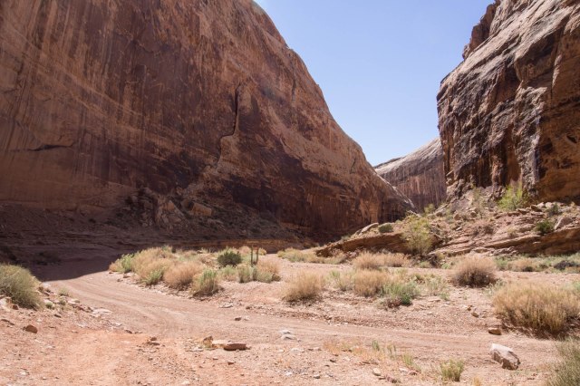 Heading into the area where the pictographs are located, low in the Wash.