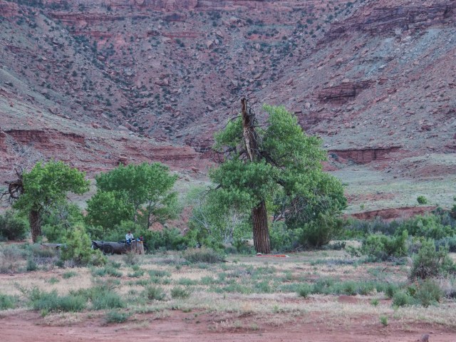 Our camp for the night.