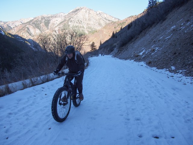 Doc heading up the road to Timpanooke.