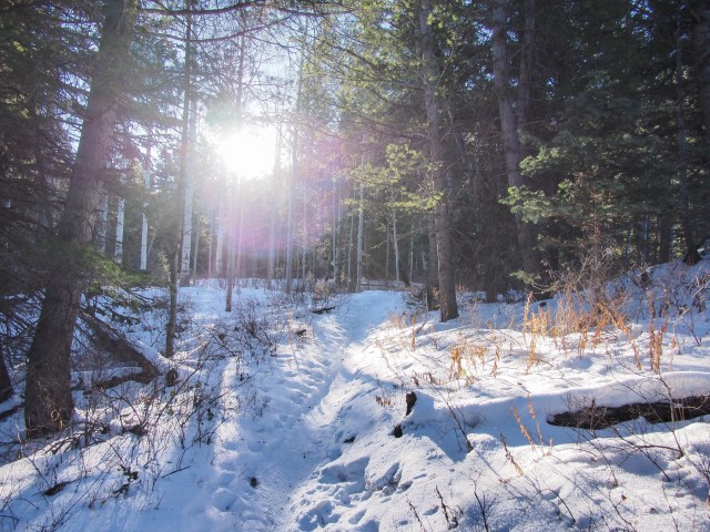 Early morning sun in the mountains.