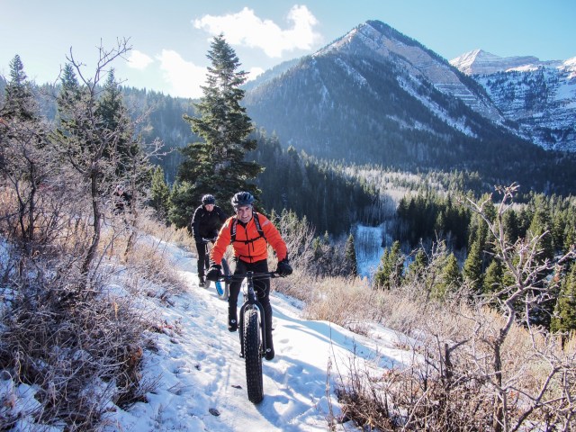 Steller singletrack, Trail 150