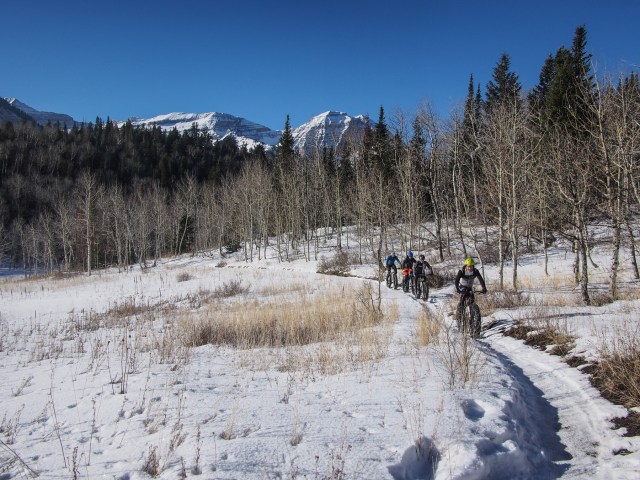 Skirting a high mountain meadow