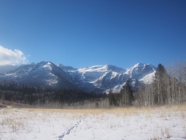 Mt. Timpanogos