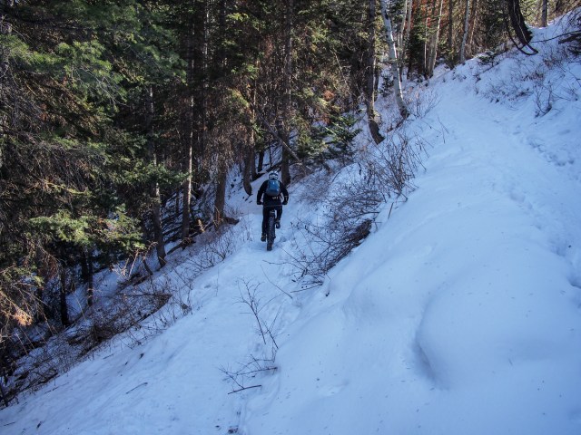 Heading down Trail 180 back to the Timpanooke Trailhead.