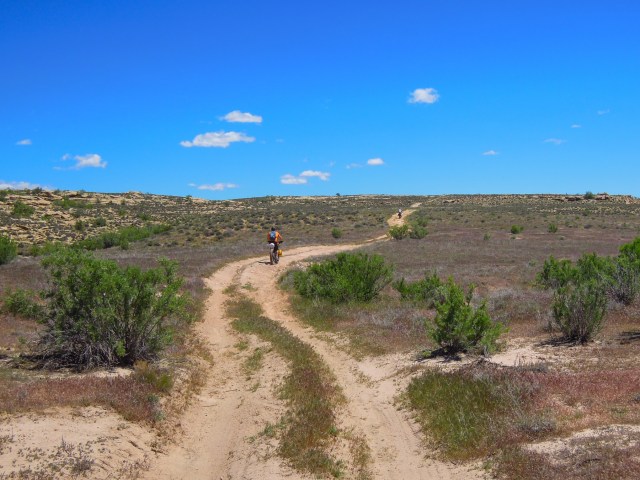 Beginning the climb up toward Yellow Jacket Canyon