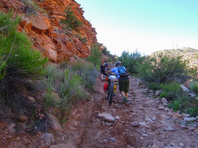 Pushing up out of Cottonwood Canyon