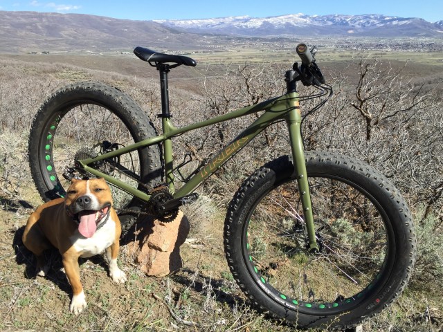 Bullet's "new" Trek Farley