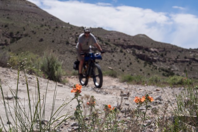 Heading toward Rabbit Valley