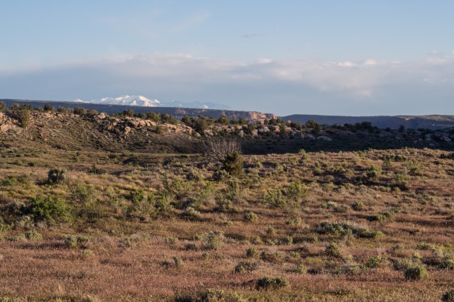 The snow-capped La Sals in the distance