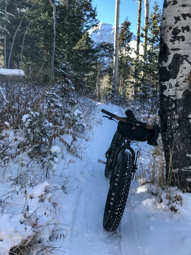 Mt. Timpanogos in the background.