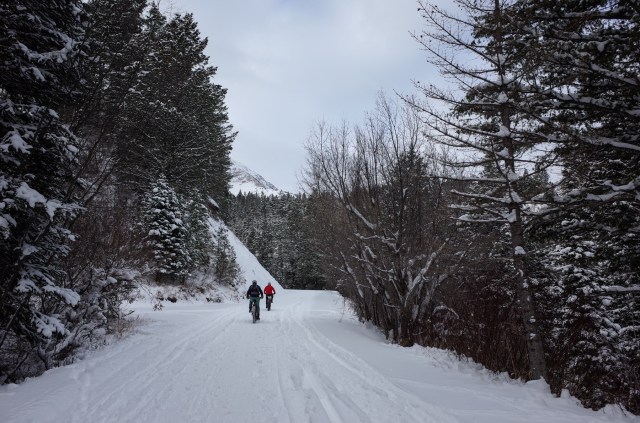 Heading up the Alpine Loop Road from Pine Hollow.
